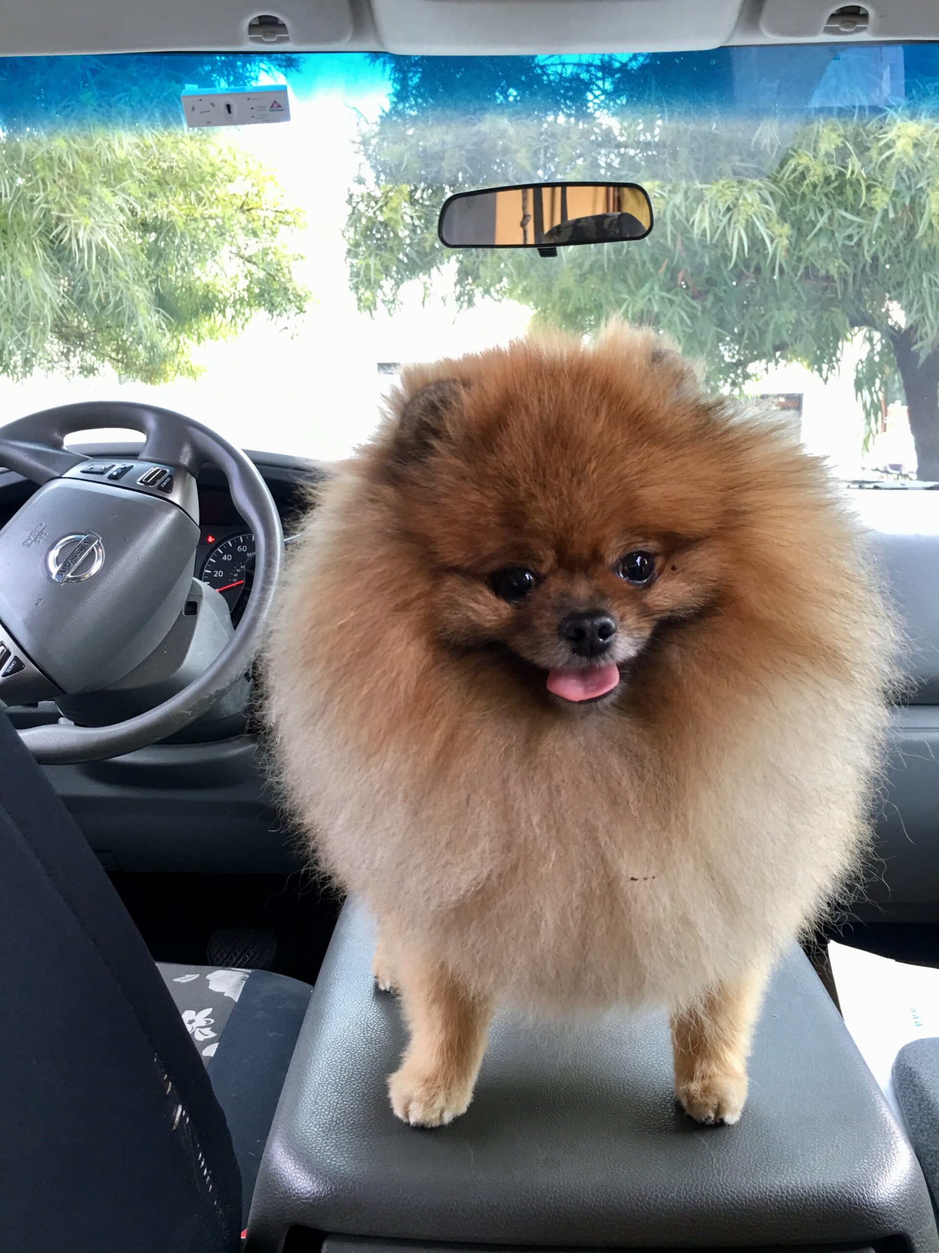 Lucy on way to London